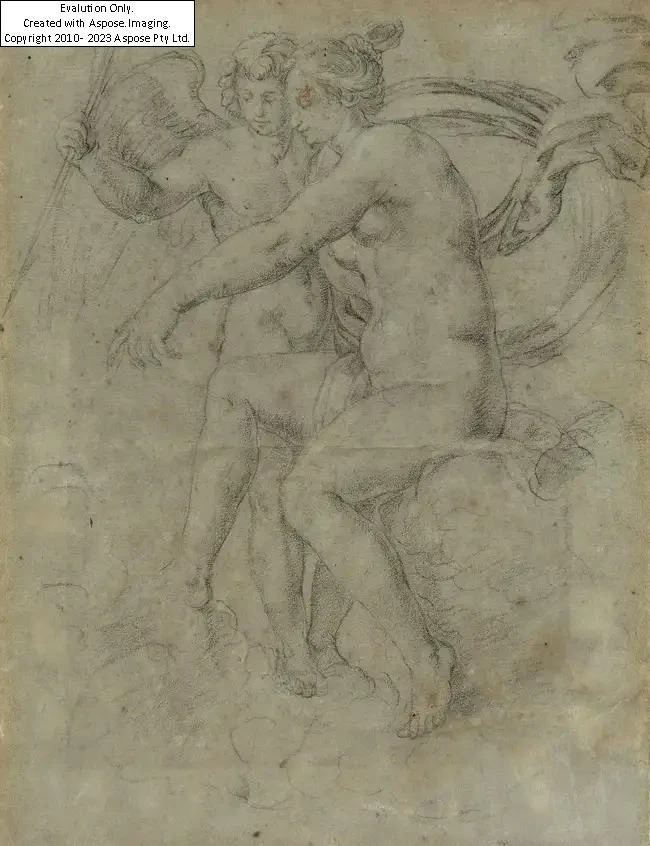 Historic & Old Master Cases Drawing after Raphael authentication evidence image 4