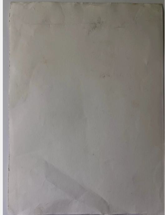 Pablo Picasso Galerie Louise Leiris authentication evidence image 3