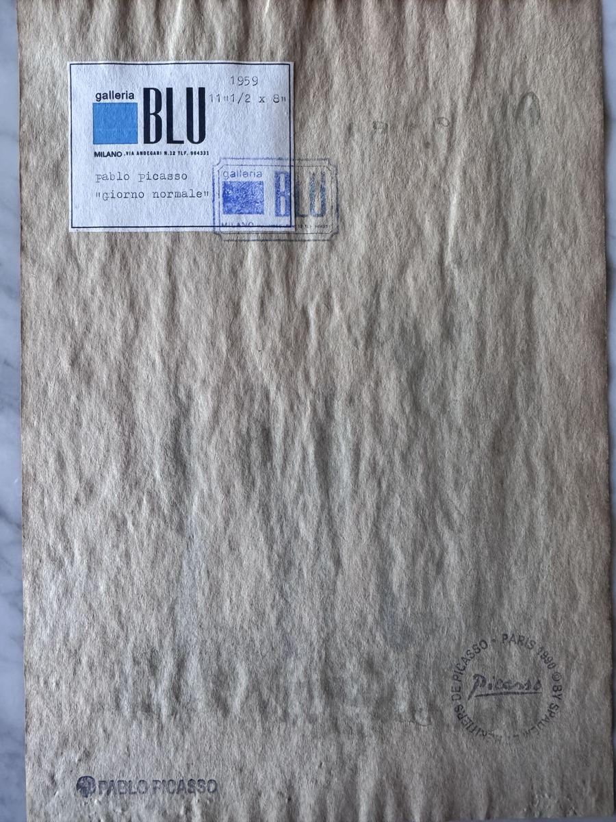 Pablo Picasso Giorno Normale authentication evidence image 3