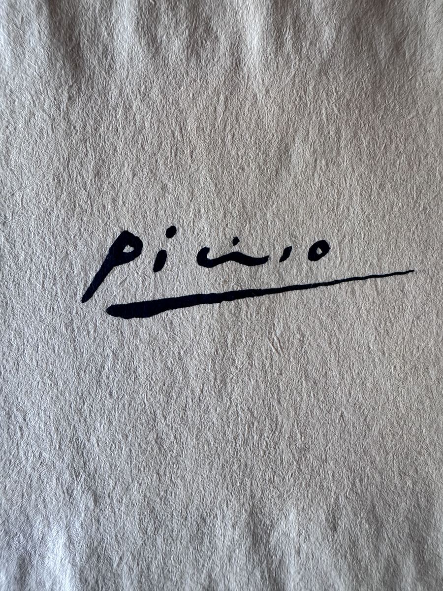 Pablo Picasso Giorno Normale authentication evidence image 6