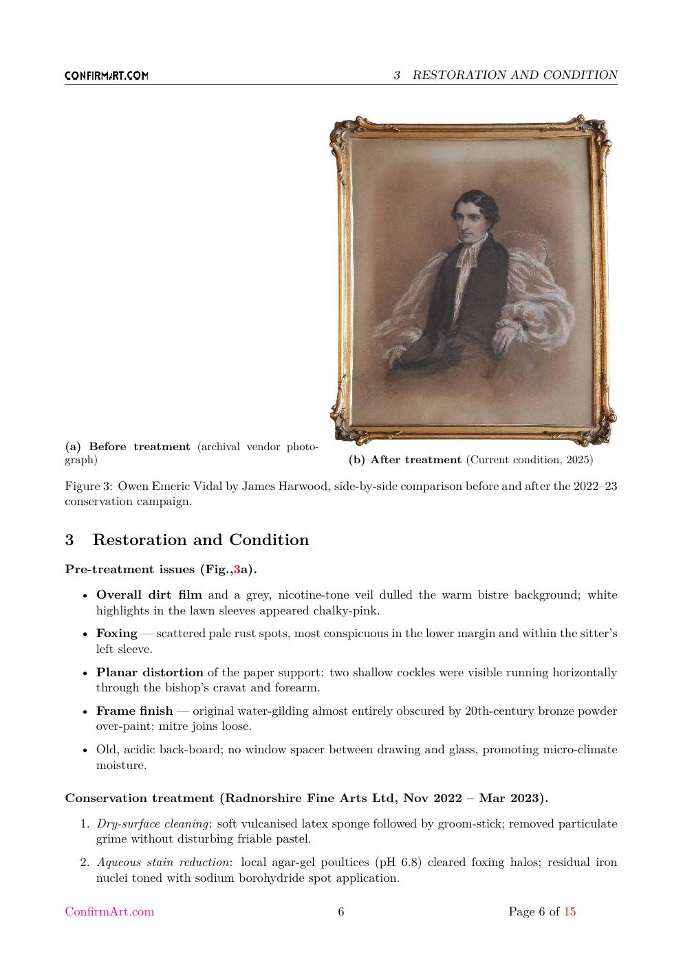 Portrait of Bishop Owen Emeric Vidal report sample page 6