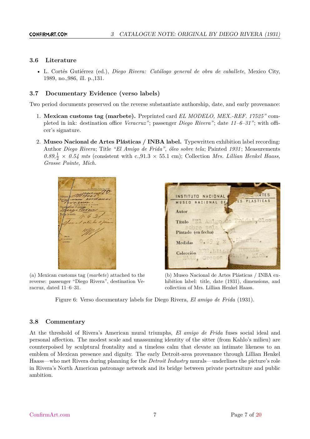 El amigo de Frida report sample page 7