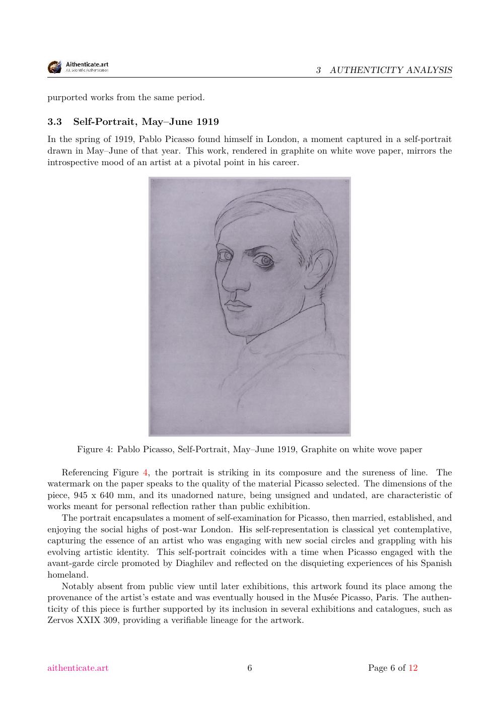 Picasso composition study report sample page 6