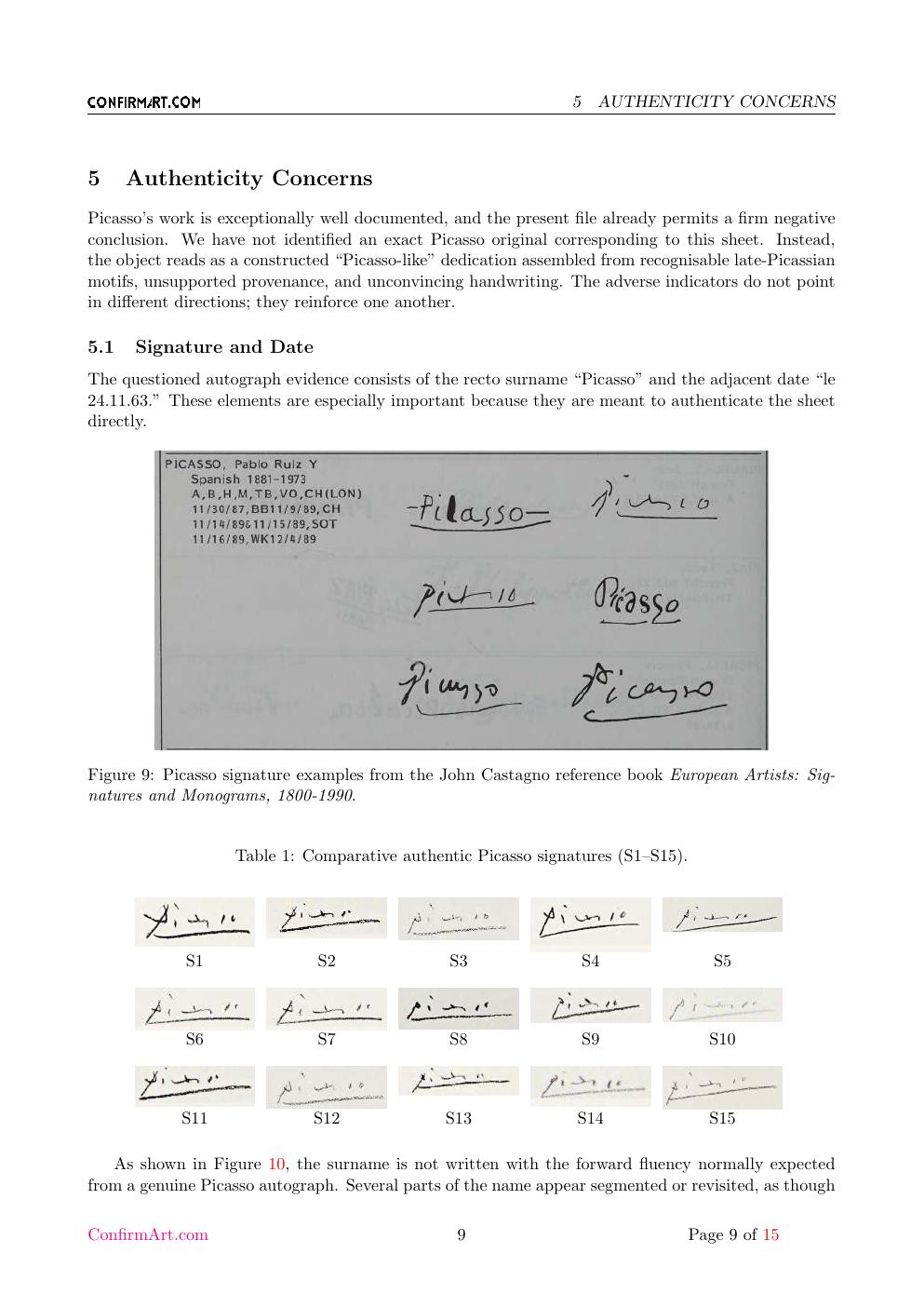 Picasso inscription study report sample page 9
