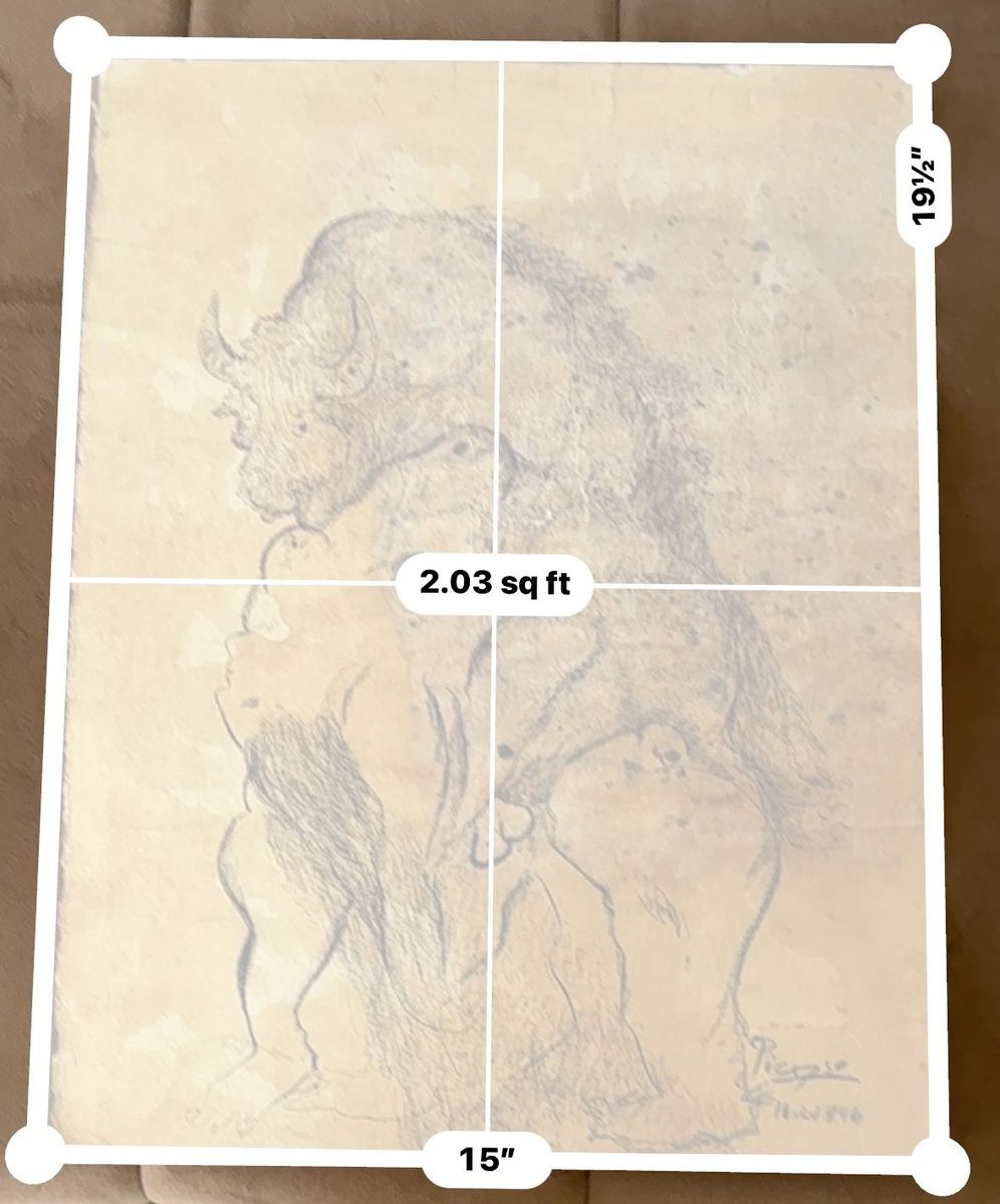 Woman and bull drawing: Inauthenticity Concerns