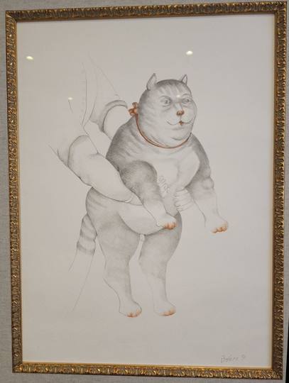 Gato front image